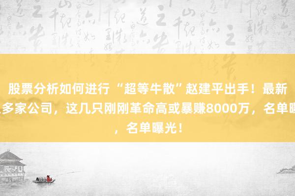 股票分析如何进行 “超等牛散”赵建平出手！最新买入多家公司，这几只刚刚革命高或暴赚8000万，名单曝光！