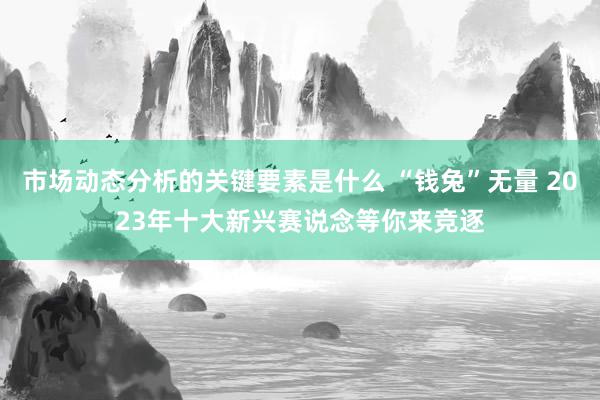 市场动态分析的关键要素是什么 “钱兔”无量 2023年十大新兴赛说念等你来竞逐