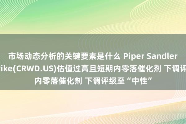 市场动态分析的关键要素是什么 Piper Sandler：CrowdStrike(CRWD.US)估值过高且短期内零落催化剂 下调评级至“中性”