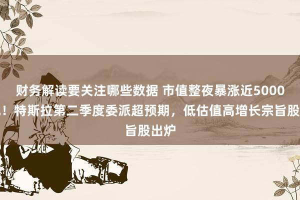 财务解读要关注哪些数据 市值整夜暴涨近5000亿元！特斯拉第二季度委派超预期，低估值高增长宗旨股出炉