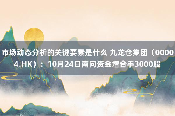 市场动态分析的关键要素是什么 九龙仓集团（00004.HK）：10月24日南向资金增合手3000股