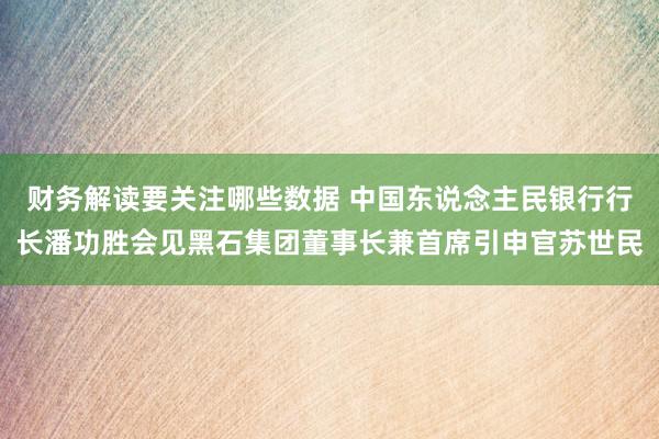 财务解读要关注哪些数据 中国东说念主民银行行长潘功胜会见黑石集团董事长兼首席引申官苏世民