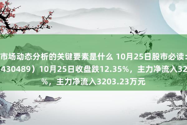 市场动态分析的关键要素是什么 10月25日股市必读：佳先股份（430489）10月25日收盘跌12.35%，主力净流入3203.23万元