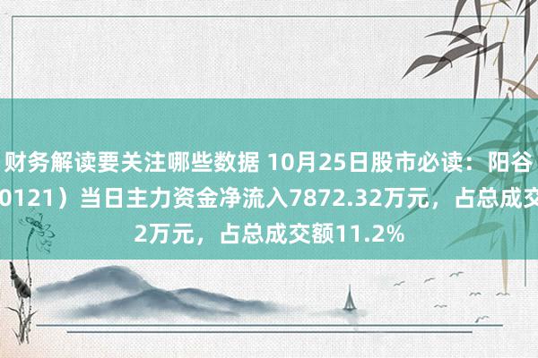 财务解读要关注哪些数据 10月25日股市必读：阳谷华泰（300121）当日主力资金净流入7872.32万元，占总成交额11.2%