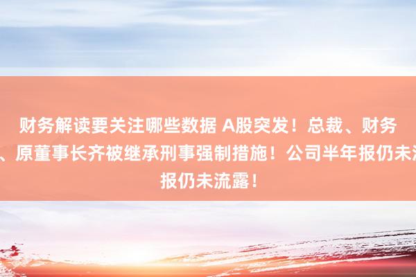 财务解读要关注哪些数据 A股突发！总裁、财务总监、原董事长齐被继承刑事强制措施！公司半年报仍未流露！