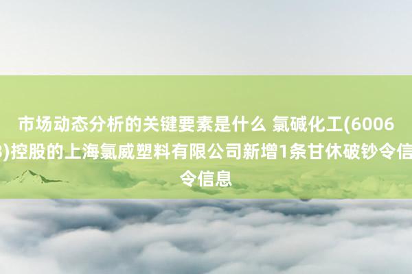 市场动态分析的关键要素是什么 氯碱化工(600618)控股的上海氯威塑料有限公司新增1条甘休破钞令信息