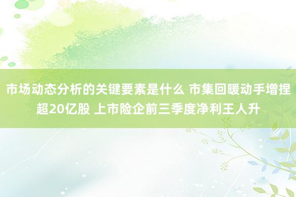 市场动态分析的关键要素是什么 市集回暖动手增捏超20亿股 上市险企前三季度净利王人升