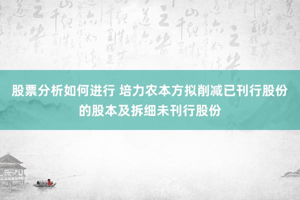 股票分析如何进行 培力农本方拟削减已刊行股份的股本及拆细未刊行股份