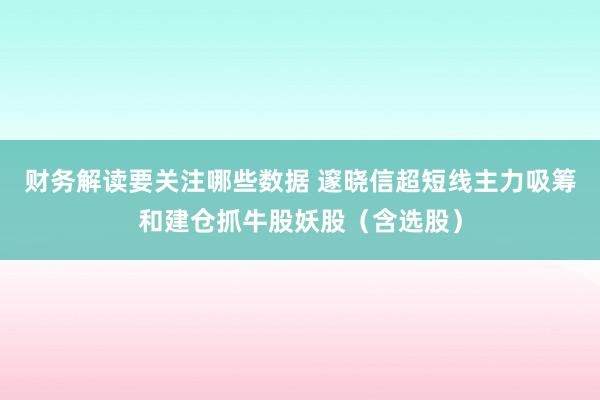 财务解读要关注哪些数据 邃晓信超短线主力吸筹和建仓抓牛股妖股（含选股）