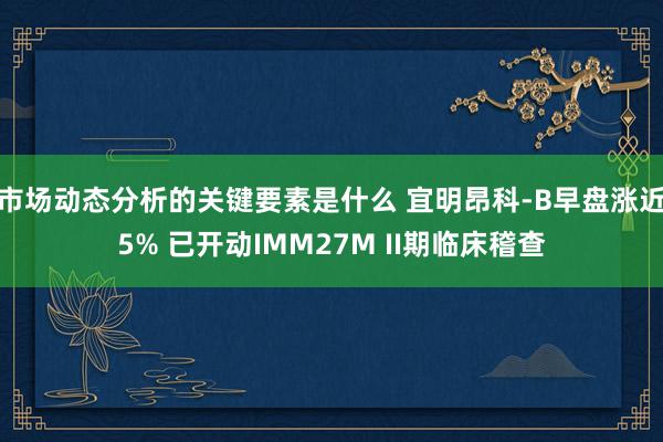 市场动态分析的关键要素是什么 宜明昂科-B早盘涨近5% 已开动IMM27M II期临床稽查