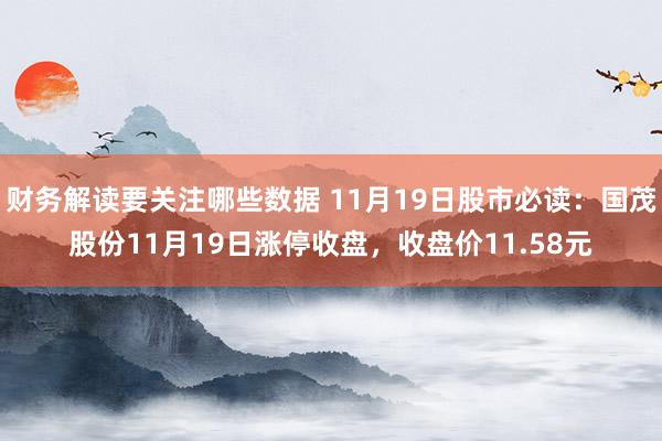 财务解读要关注哪些数据 11月19日股市必读：国茂股份11月19日涨停收盘，收盘价11.58元