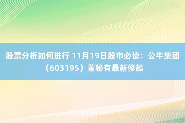 股票分析如何进行 11月19日股市必读：公牛集团（603195）董秘有最新修起