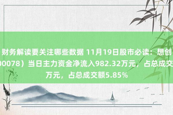 财务解读要关注哪些数据 11月19日股市必读：想创医惠（300078）当日主力资金净流入982.32万元，占总成交额5.85%