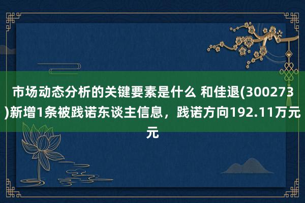 市场动态分析的关键要素是什么 和佳退(300273)新增1条被践诺东谈主信息，践诺方向192.11万元