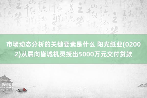 市场动态分析的关键要素是什么 阳光纸业(02002)从属向皆城机灵授出5000万元交付贷款