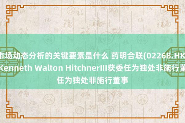 市场动态分析的关键要素是什么 药明合联(02268.HK)：Kenneth Walton HitchnerIII获委任为独处非施行董事