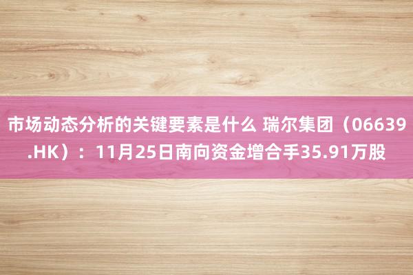 市场动态分析的关键要素是什么 瑞尔集团（06639.HK）：11月25日南向资金增合手35.91万股