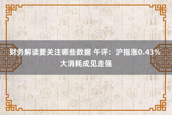 财务解读要关注哪些数据 午评：沪指涨0.43% 大消耗成见走强