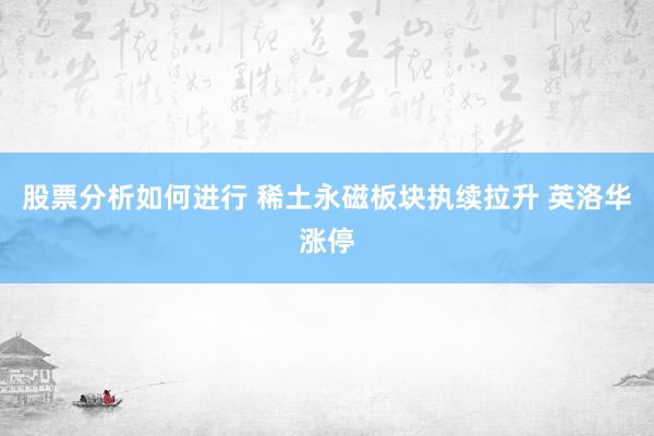 股票分析如何进行 稀土永磁板块执续拉升 英洛华涨停