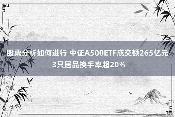 股票分析如何进行 中证A500ETF成交额265亿元 3只居品换手率超20%