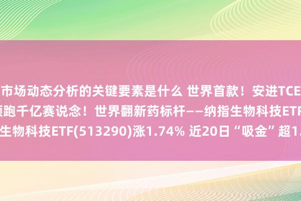 市场动态分析的关键要素是什么 世界首款！安进TCE双抗药诊治实体瘤 领跑千亿赛说念！世界翻新药标杆——纳指生物科技ETF(513290)涨1.74% 近20日“吸金”超1.1亿元