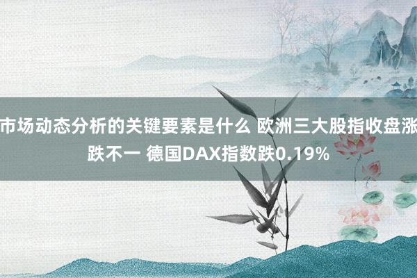 市场动态分析的关键要素是什么 欧洲三大股指收盘涨跌不一 德国DAX指数跌0.19%