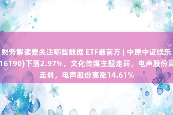 财务解读要关注哪些数据 ETF最前方 | 中原中证娱乐传媒ETF(516190)下落2.97%，文化传媒主题走弱，电声股份高涨14.61%