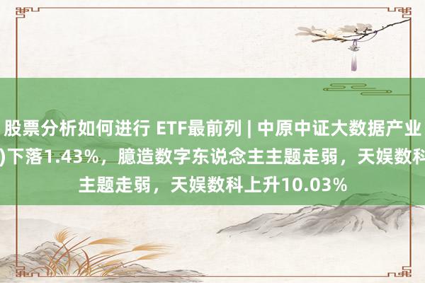 股票分析如何进行 ETF最前列 | 中原中证大数据产业ETF(516000)下落1.43%，臆造数字东说念主主题走弱，天娱数科上升10.03%