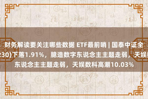 财务解读要关注哪些数据 ETF最前哨 | 国泰中证全指软件ETF(515230)下落1.91%，臆造数字东说念主主题走弱，天娱数科高潮10.03%