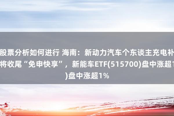 股票分析如何进行 海南：新动力汽车个东谈主充电补贴将收尾“免申快享”，新能车ETF(515700)盘中涨超1%