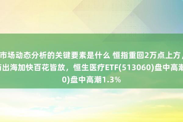 市场动态分析的关键要素是什么 恒指重回2万点上方，革命药出海加快百花皆放，恒生医疗ETF(513060)盘中高潮1.3%