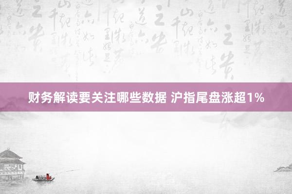 财务解读要关注哪些数据 沪指尾盘涨超1%