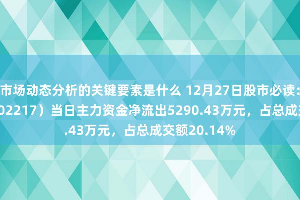 市场动态分析的关键要素是什么 12月27日股市必读：*ST合泰（002217）当日主力资金净流出5290.43万元，占总成交额20.14%