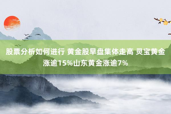 股票分析如何进行 黄金股早盘集体走高 灵宝黄金涨逾15%山东黄金涨逾7%