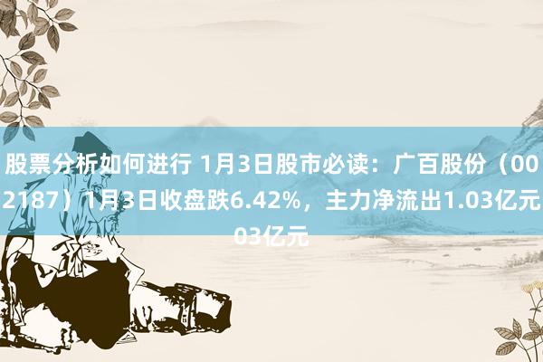 股票分析如何进行 1月3日股市必读：广百股份（002187）1月3日收盘跌6.42%，主力净流出1.03亿元