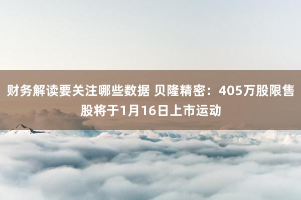 财务解读要关注哪些数据 贝隆精密：405万股限售股将于1月16日上市运动