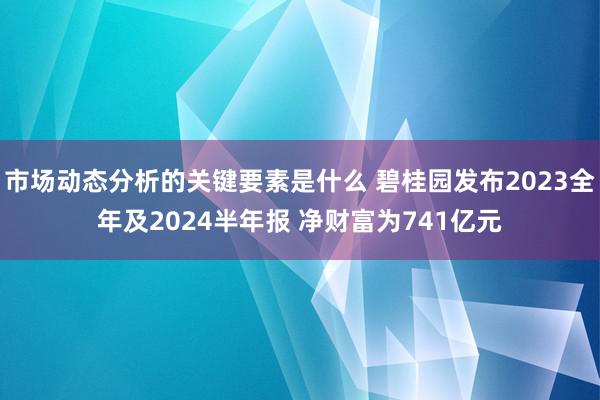 市场动态分析的关键要素是什么 碧桂园发布2023全年及2024半年报 净财富为741亿元