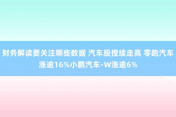 财务解读要关注哪些数据 汽车股捏续走高 零跑汽车涨逾16%小鹏汽车-W涨逾6%