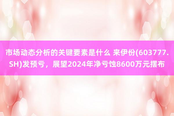 市场动态分析的关键要素是什么 来伊份(603777.SH)发预亏，展望2024年净亏蚀8600万元摆布