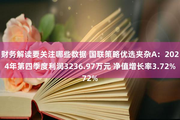 财务解读要关注哪些数据 国联策略优选夹杂A：2024年第四季度利润3236.97万元 净值增长率3.72%