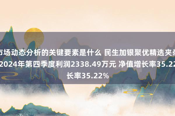 市场动态分析的关键要素是什么 民生加银聚优精选夹杂：2024年第四季度利润2338.49万元 净值增长率35.22%