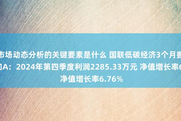 市场动态分析的关键要素是什么 国联低碳经济3个月握有搀和A：2024年第四季度利润2285.33万元 净值增长率6.76%