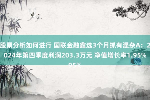 股票分析如何进行 国联金融鑫选3个月抓有混杂A：2024年第四季度利润203.3万元 净值增长率1.95%