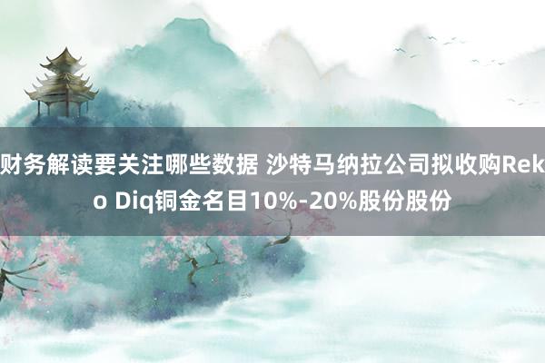 财务解读要关注哪些数据 沙特马纳拉公司拟收购Reko Diq铜金名目10%-20%股份股份