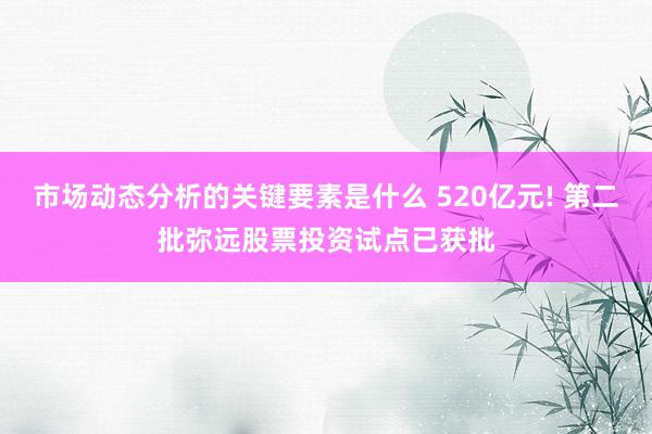 市场动态分析的关键要素是什么 520亿元! 第二批弥远股票投资试点已获批