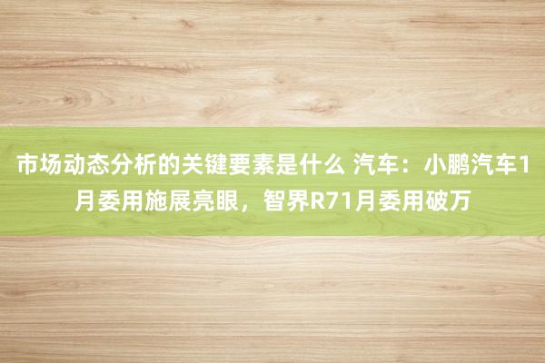 市场动态分析的关键要素是什么 汽车：小鹏汽车1月委用施展亮眼，智界R71月委用破万