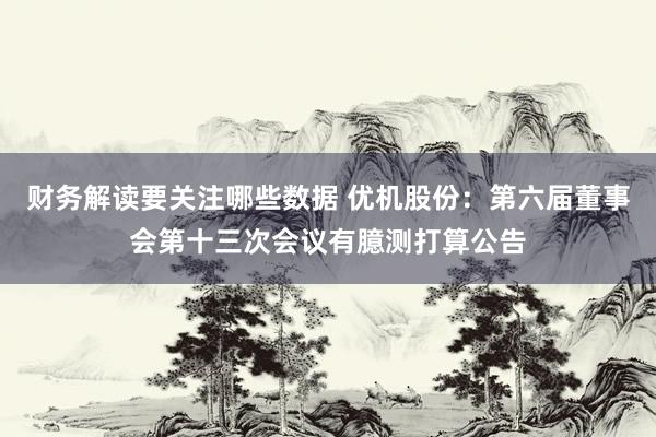 财务解读要关注哪些数据 优机股份：第六届董事会第十三次会议有臆测打算公告