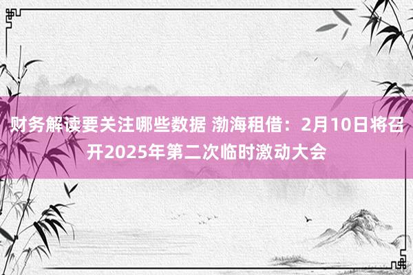 财务解读要关注哪些数据 渤海租借：2月10日将召开2025年第二次临时激动大会