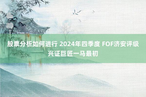 股票分析如何进行 2024年四季度 FOF济安评级兴证巨匠一马最初