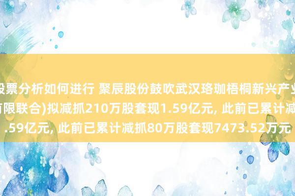 股票分析如何进行 聚辰股份鼓吹武汉珞珈梧桐新兴产业投资基金联合企业(有限联合)拟减抓210万股套现1.59亿元, 此前已累计减抓80万股套现7473.52万元